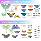 Realistic Paper Butterfly Moth