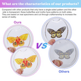 Realistic Paper Butterfly Moth