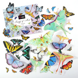 Realistic Paper Butterfly Moth