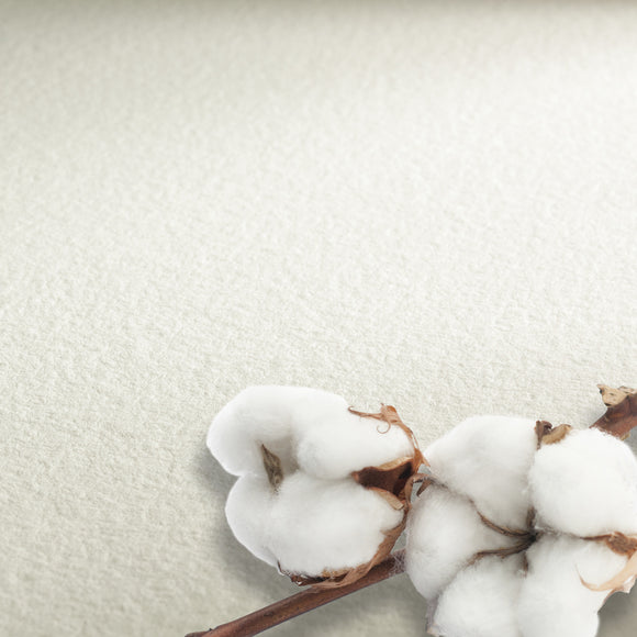 The Collection - Watercolour 300gsm (Hot Pressed 56x76cm 1Sheet)