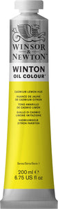 Winsor & Newton Winton Oil Colour Cadmium Lemon Hue 200Ml