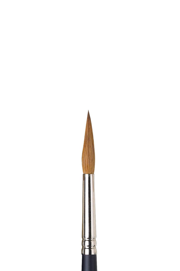 Winsor & Newton Artists' Water Colour Sable Brush Pointed Round [Short Handle] No 8