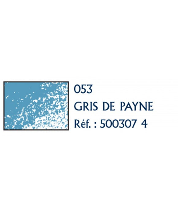Conte A Paris Coloured Carre Payne'S Grey 053