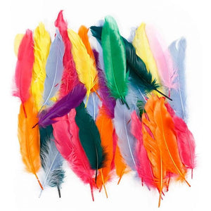 Feathers, L: 12-15 Cm, Assorted Colors, 350 Pc