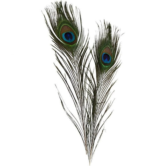 Peacock Feathers, L: 25-30 Cm, 10 Pc