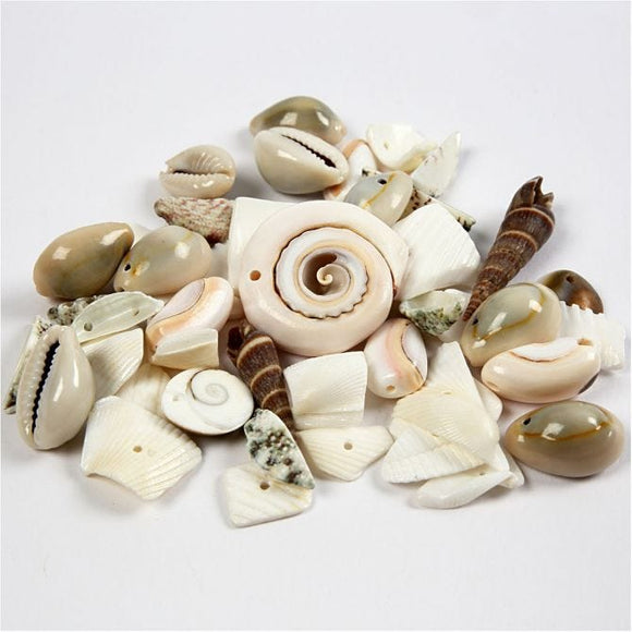 Beach Shells, 9-40 Mm, 1-1,5 Mm, 120 G, 1 Pack