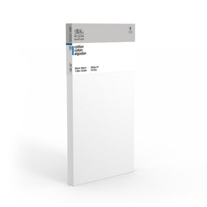 Winsor And Newton Classic Canvas Cotton Deep Edge 30X60Cm